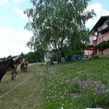 Fuer 2 Personen Ca 40 M In Neureichenau, Bayerischer Wald * Neureichenau