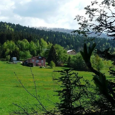 Fuer 2 Personen Ca 40 M In Neureichenau, Bayerischer Wald * Neureichenau
